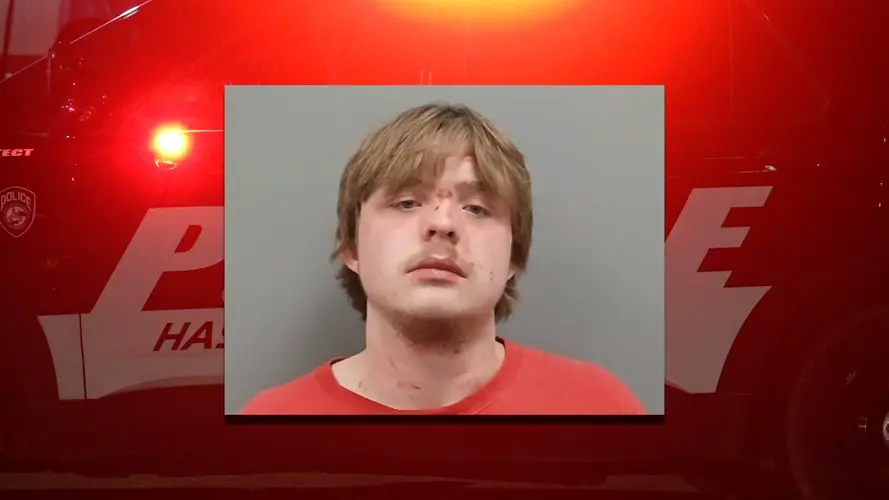 Hastings man arrested for pointing gun at girlfriend, injuring police officer