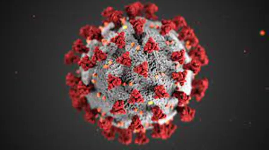 Virus hospitalizations and cases still falling across state