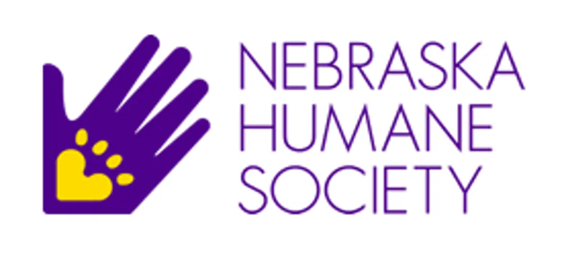 Hundreds of animals removed from Nebraska home