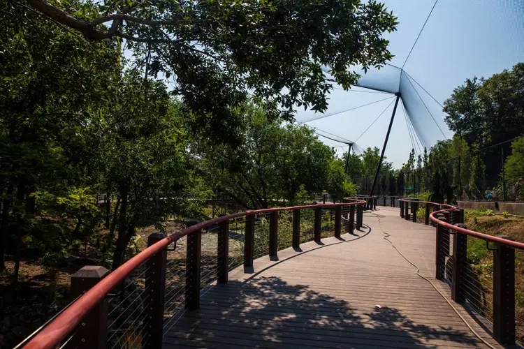 Omaha’s Henry Doorly Zoo closes aviary as precaution against avian flu