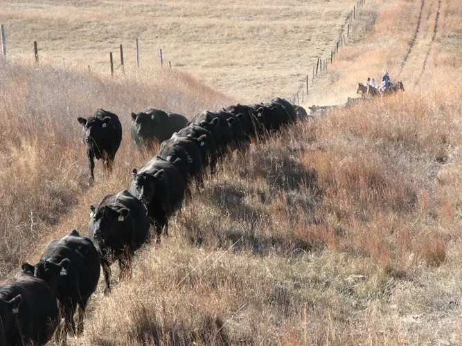 Water’s worth: It sits beneath Nebraska’s farmland and has serious value; but who owns it?