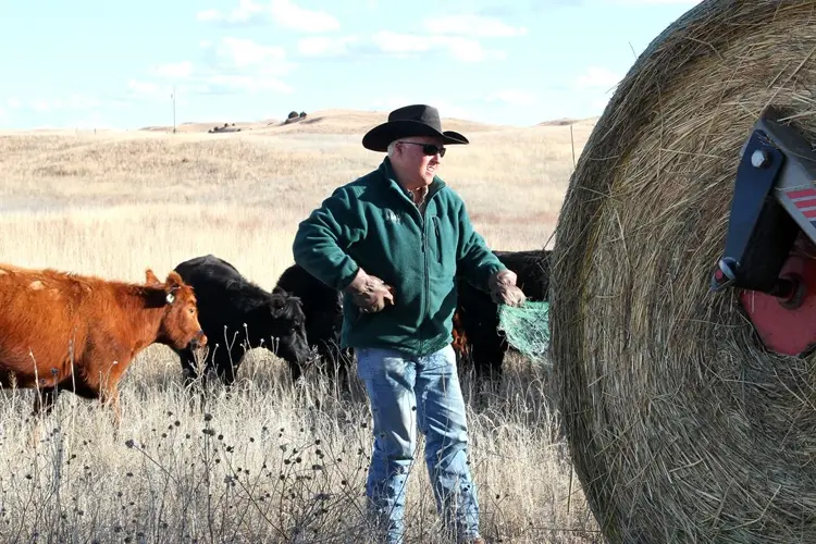 Power play: Project meant to move power through Nebraska Sandhills, across US stalls – for 12 years