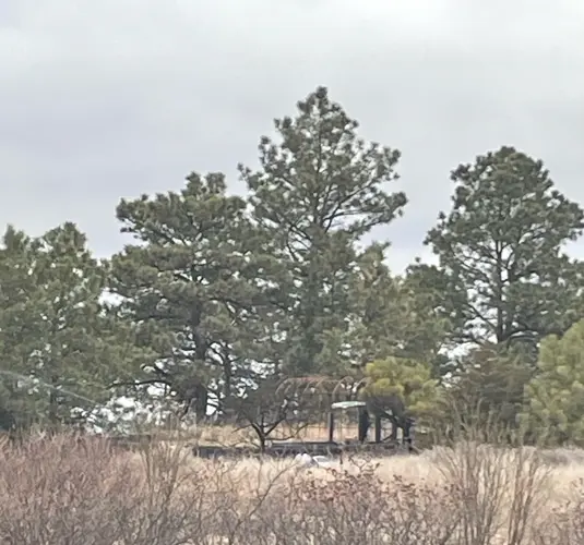 Small fire destroys chicken coop near Valentine