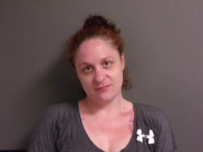 ‘I’m gonna shoot all of you’: Gordon woman sentenced for assaulting law enforcement, stealing vehicles