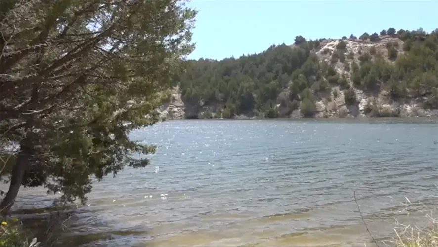 Tree removal to begin at Merritt Reservoir