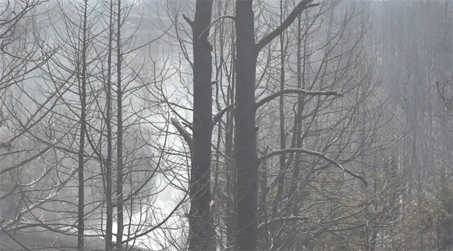 Lightning sparks fire at McKelvie National Forest