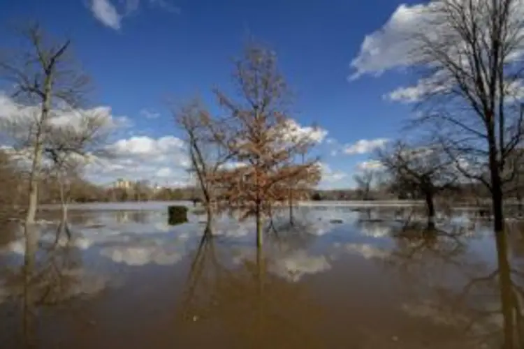 Parks in Louisville among hardest hit by flooding; aggressive cleanup planned for state
