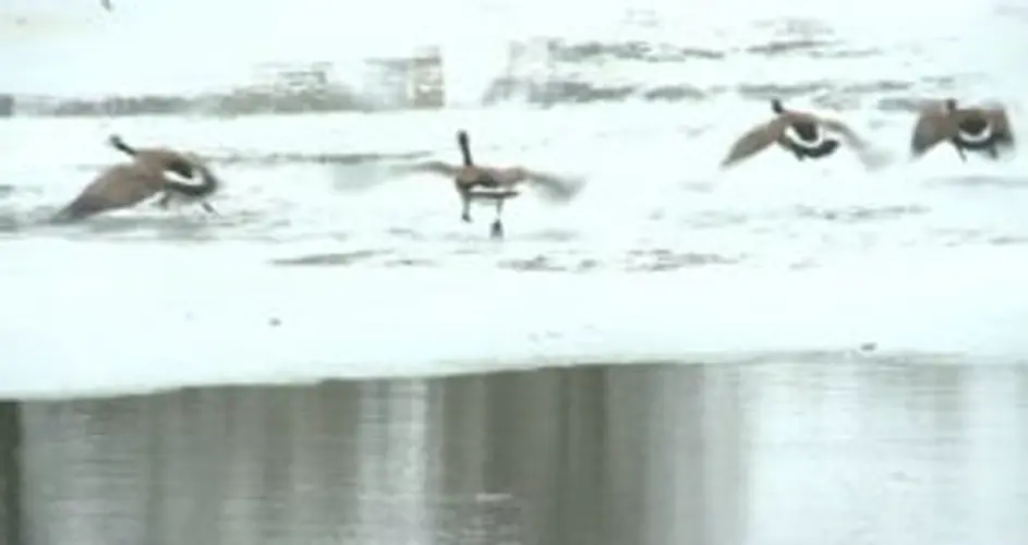 Officials: Dynamiting Rivers to Break-Up Ice Jams 'Dangerous but Effective'