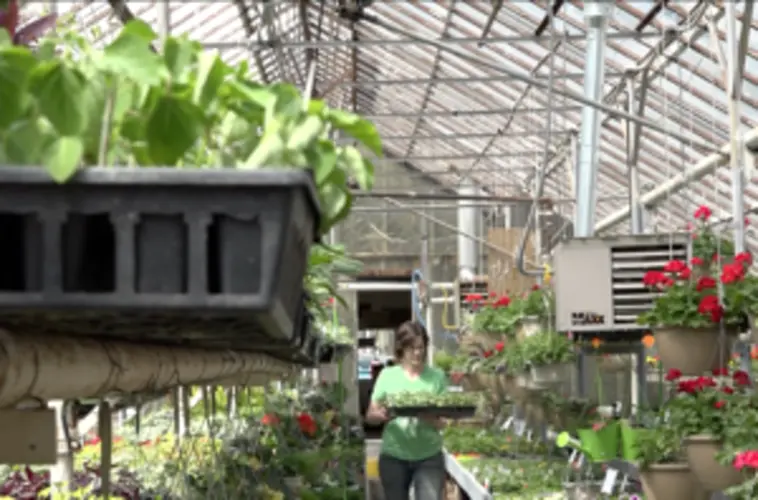 Fairbury's 4th Street Greenhouse, Seeds of Hope Youth Garden embracing new growing season