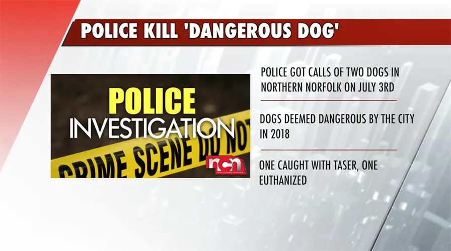 Norfolk Police Kill 'Dangerous Dog'
