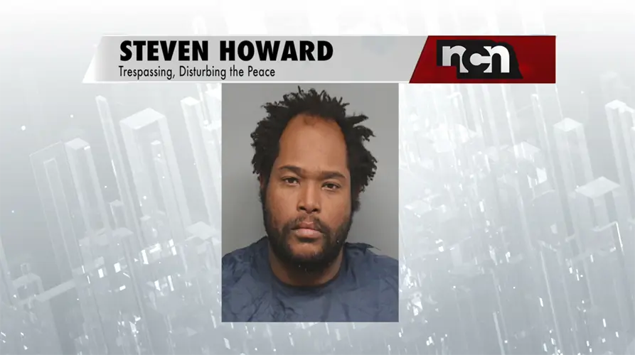 Man arrested for pointing pellet gun at firefighters