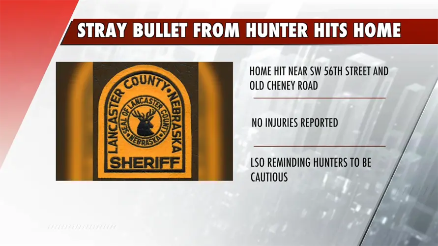 Stray bullet from hunter strikes home