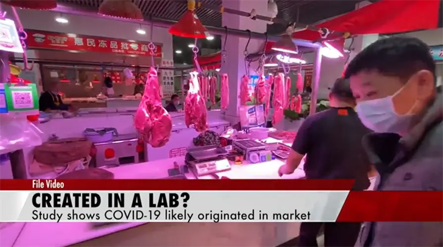 Sources: Virus likely from market not lab
