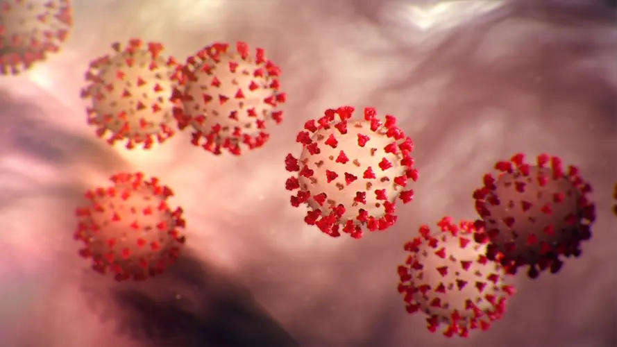 Nebraska virus numbers improve slightly but remain elevated