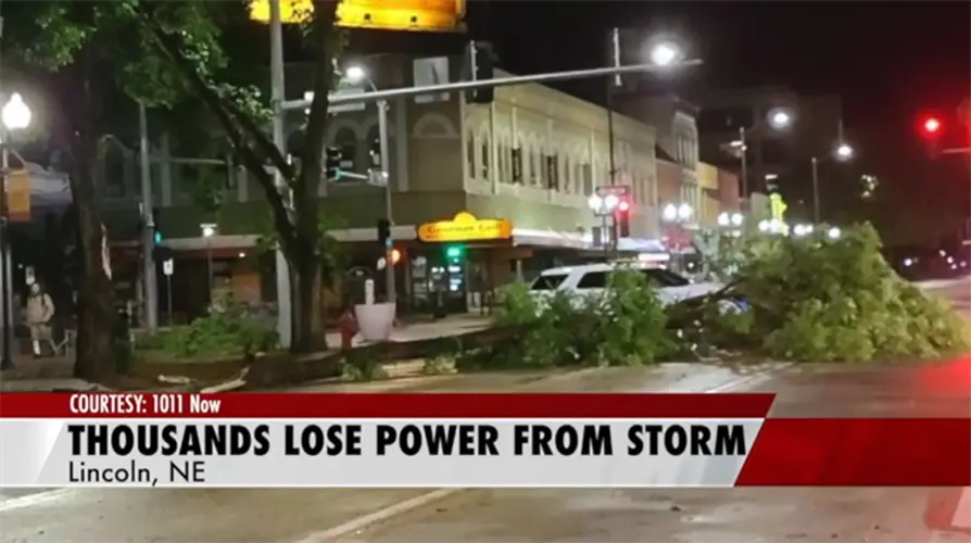 Tree Damage Main Outcome from Thursday Night Storms