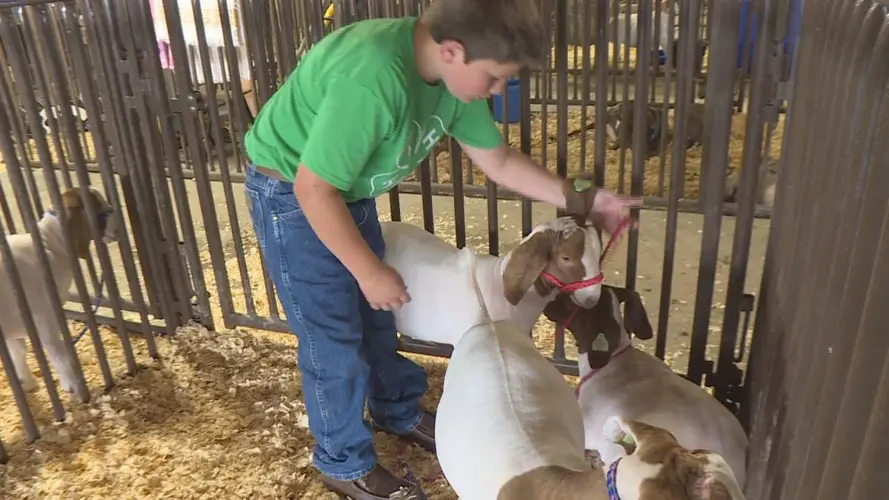 State Fair Board faces more shakeups after weekend meeting