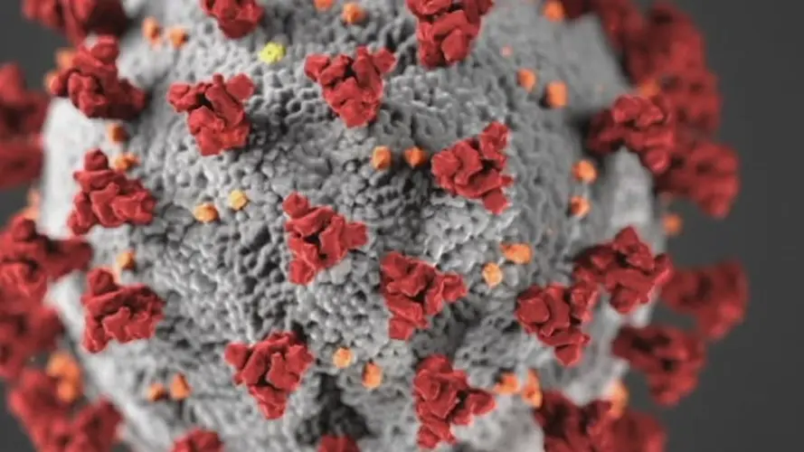 Hospitals Ready For First Vaccines