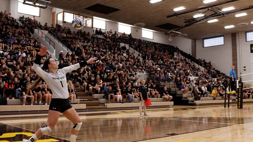 Wildcat volleyball receives USMC/AVCA Team Academic Award for record 19th straight year