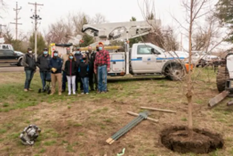 Nebraska Public Power District plants trees in Chadron State Park