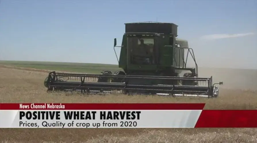 Wheat quality, prices up in 2021 as Nebraska harvest wraps up