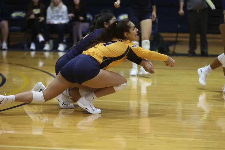WNCC volleyball falls to Central Wyoming