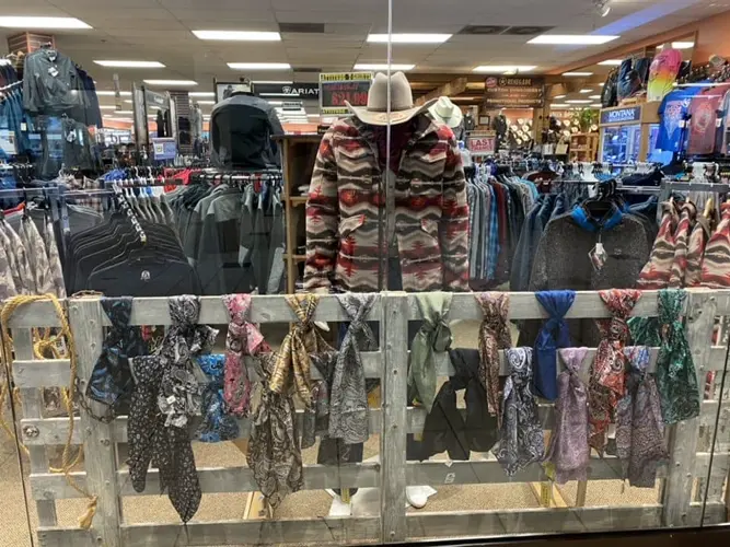 Renegade expanding in Norfolk