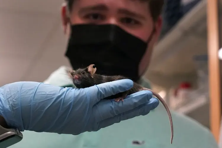 Jake’s mice: Searching for answers to the puzzle of autism