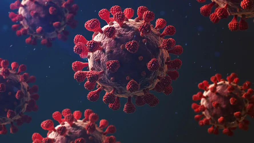 WHO chief: The COVID pandemic is ‘most certainly not over’