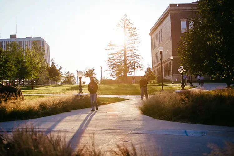 Wayne State selects 46 students for Rural Health Opportunities Program