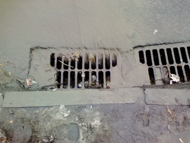 Mystery smell in city is likened to sewage, animal corpse