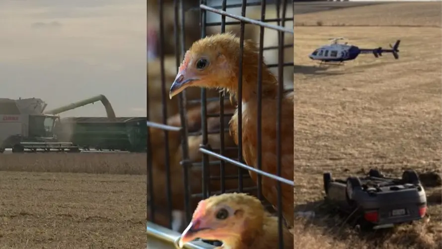 Fortenberry resigns, bird flu and more: All of the biggest weekend stories