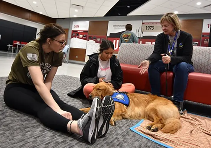 Northeast students get comfort during finals week
