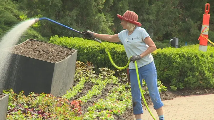 Volunteers help plant flowers at Sunken Gardens