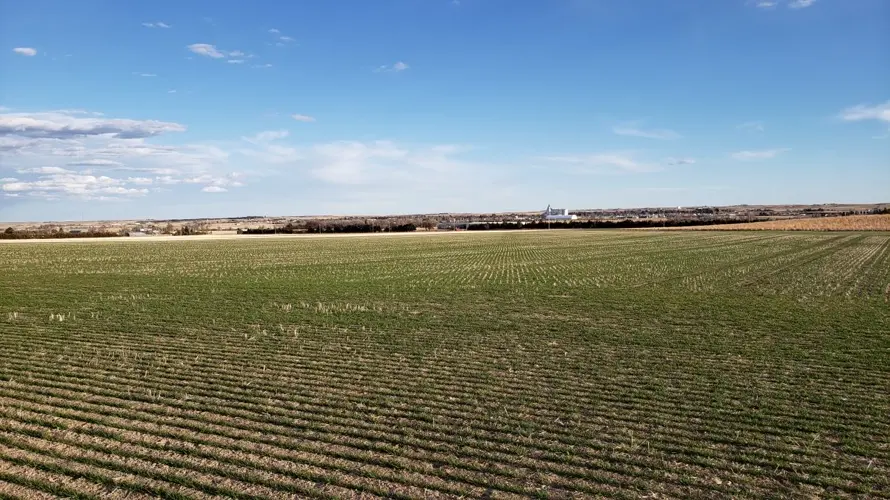 NEFB working with SpaceX’s Starlink to expand broadband in Nebraska