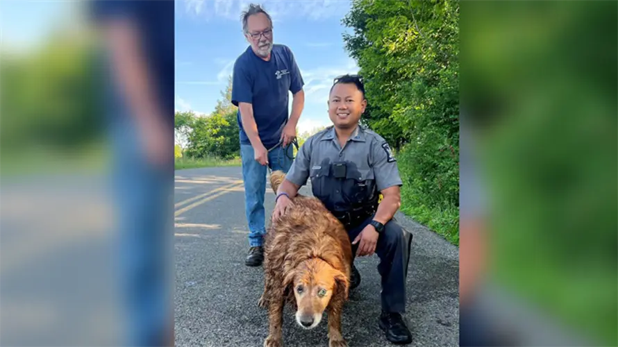 Trooper crawls into drainage pipe to rescue missing dog