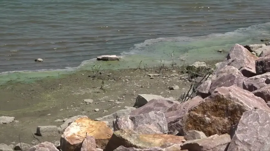'It could be toxic': Unsafe algae is still an issue for Willow Creek State Recreation Area
