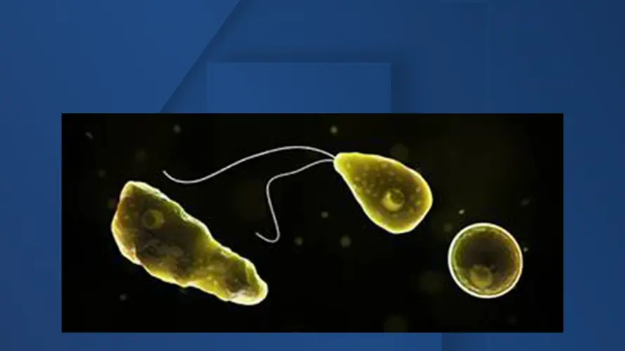 Missouri swimmer infected with amoeba, likely from Iowa swim