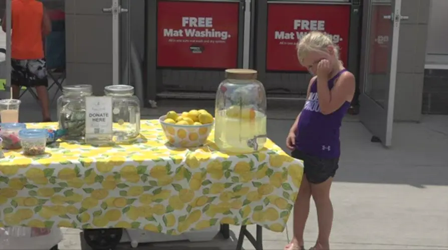 Local lemonade stand fundraiser held in Norfolk