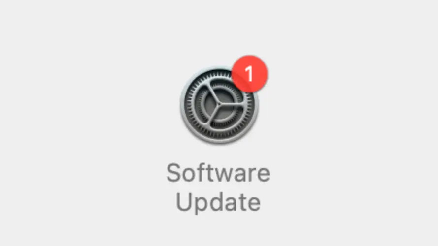 You really need to update your iPhone. Here’s how.