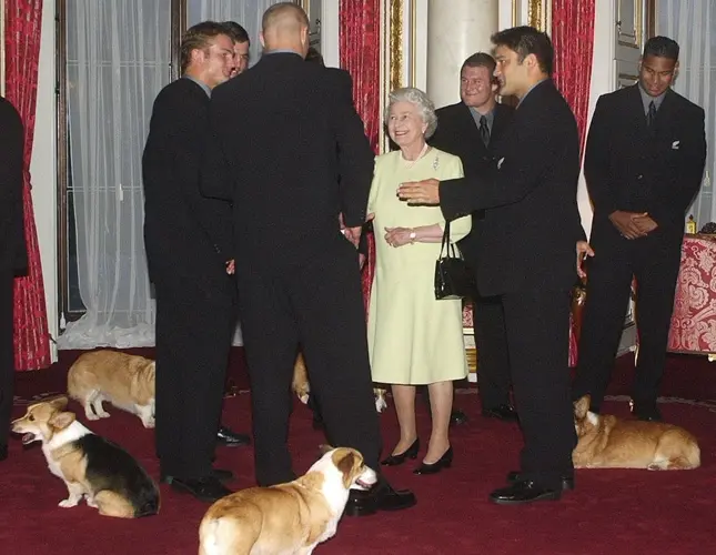 A queen and her corgis: Elizabeth loved breed from childhood