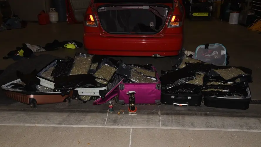 Two Californians arrested after authorities reportedly find 90 lbs. of marijuana