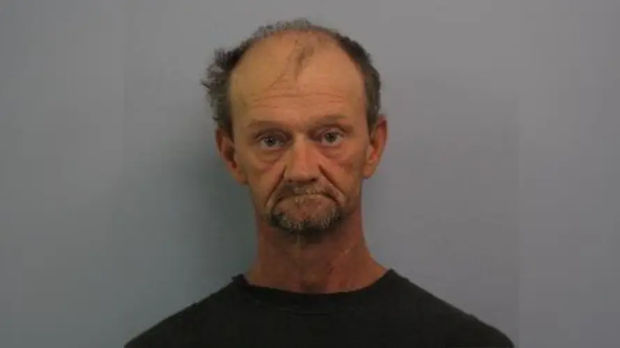Norfolk man arrested for alleged domestic assault