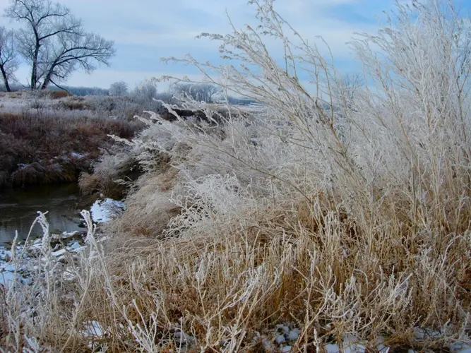 Frost advisories, freeze warnings take effect across Nebraska