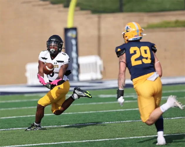 #24 Augustana uses late fourth quarter touchdown to defeat Wayne State