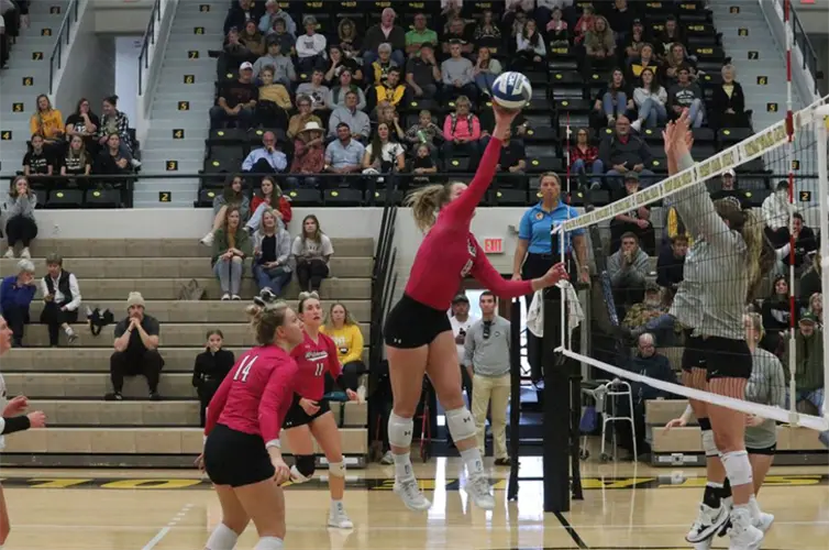 #3 Wayne State fends off upset bid from Upper Iowa, caps unbeaten regular season home schedule