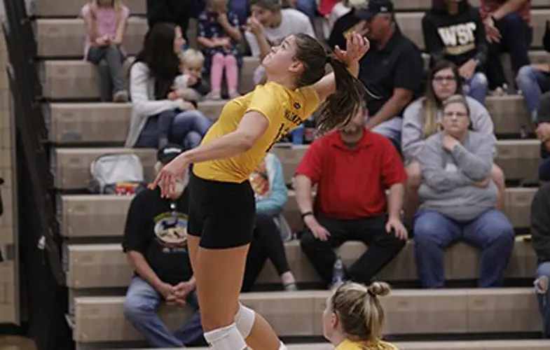 WSC volleyball team picked second in NSIC preseason poll
