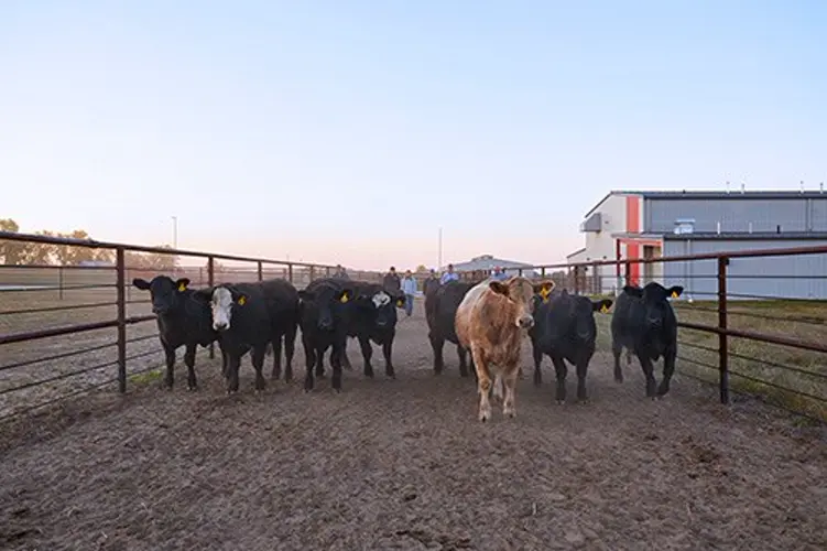 Ag students involved in planning at new Acklie Family College Farm facilities