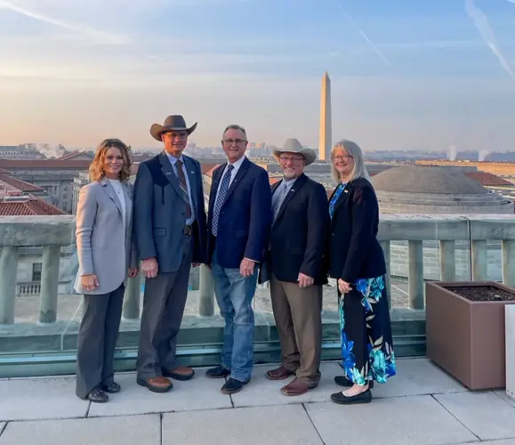 Four Nebraskans named National Cattlemen's Beef Association committee leaders
