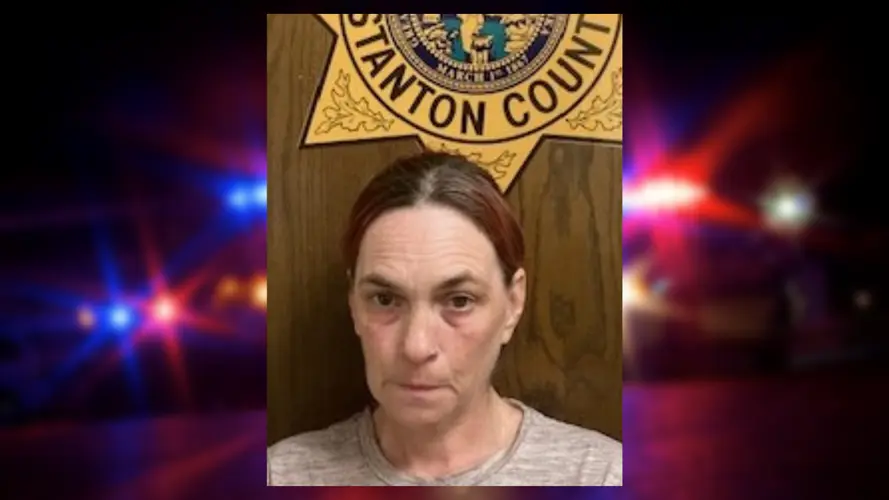 Norfolk woman arrested while reportedly intoxicated at elementary school
