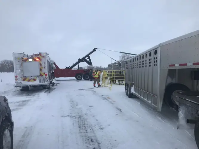 Semi hauling cattle rolls over near O'Neill